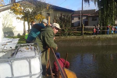 Výlov rybníka 17.10.2015